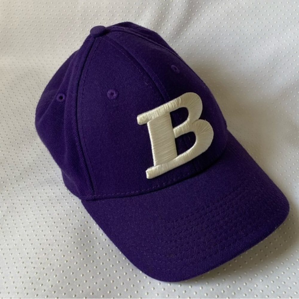The Game Pro Mens Hat Size Small Purple‎ A Flex